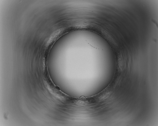 X0000103490494200809261954