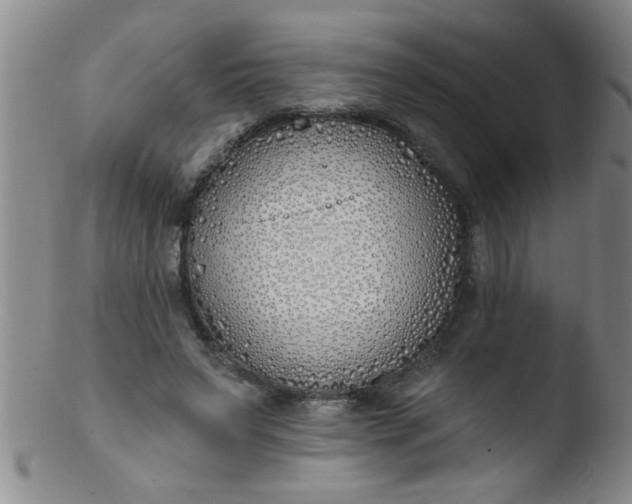 X0000103490495200809261954