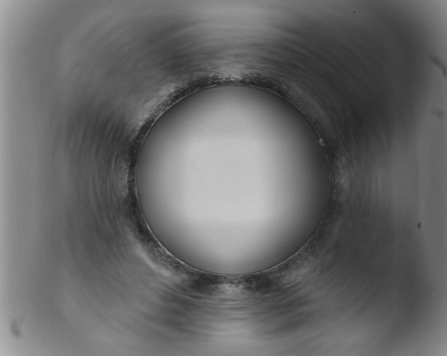 X0000103490496200809261954