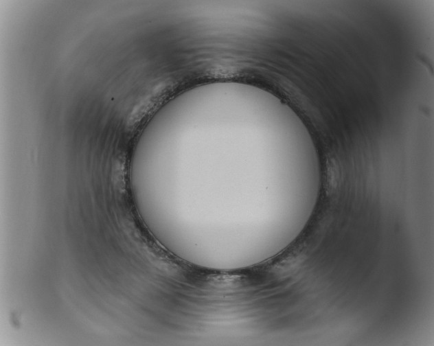 X0000103490497200809261954