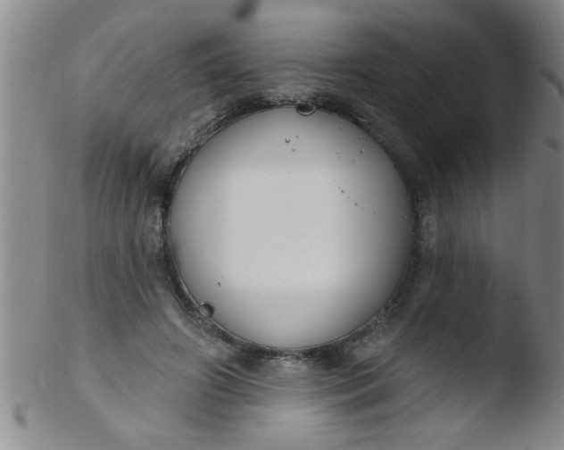 X0000103490498200809261954