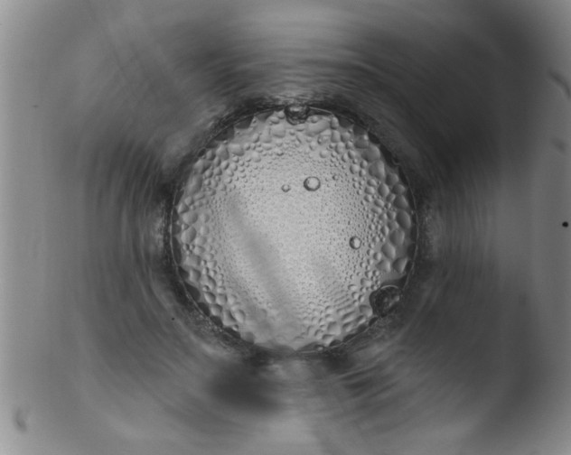 X0000103490499200809261953