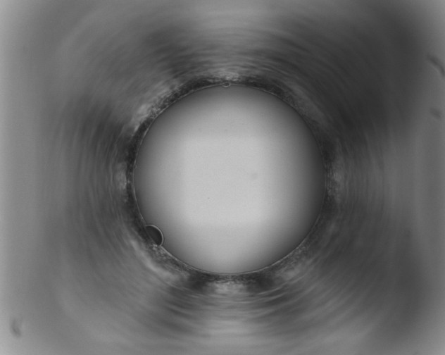 X0000103490500200809261953