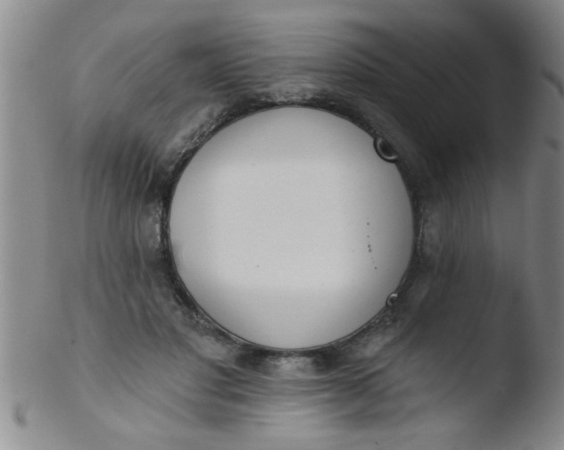 X0000103490501200809261953