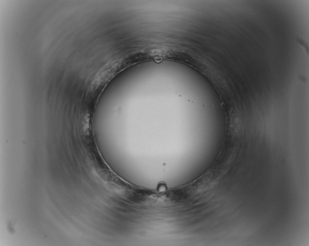 X0000103490502200809261953