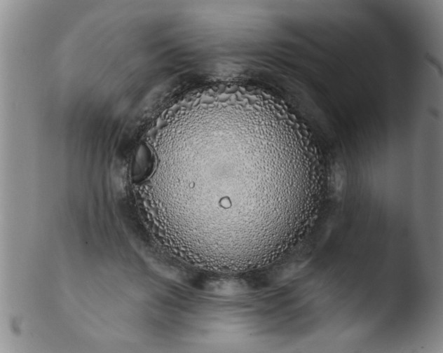 X0000103490503200809261953