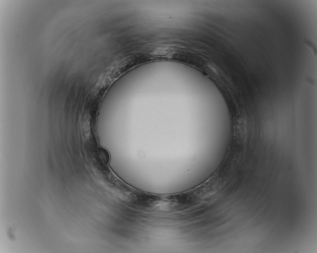 X0000103490504200809261953