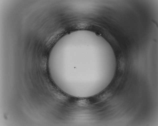 X0000103490505200809261953