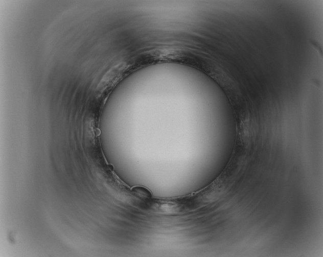 X0000103490506200809261953