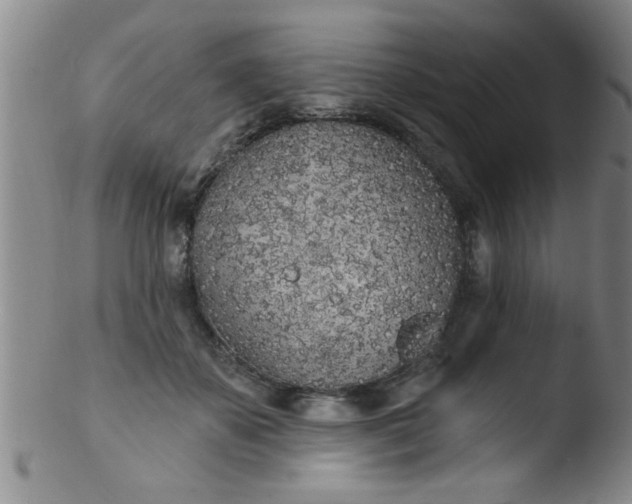 X0000103490507200809261953