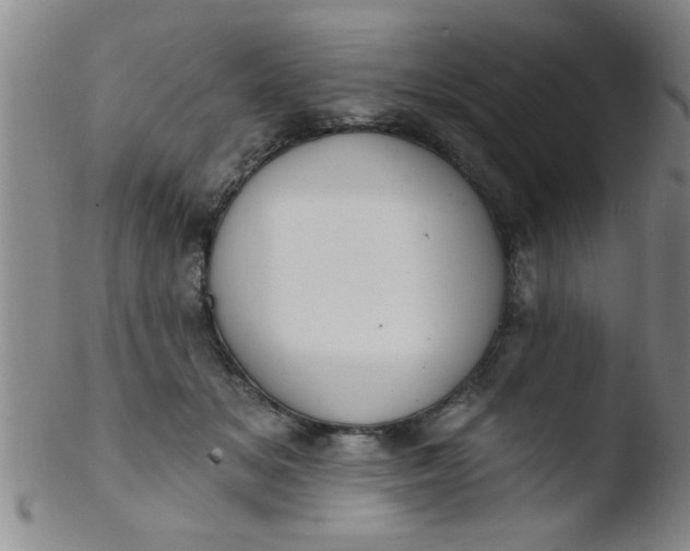 X0000103490509200809261953