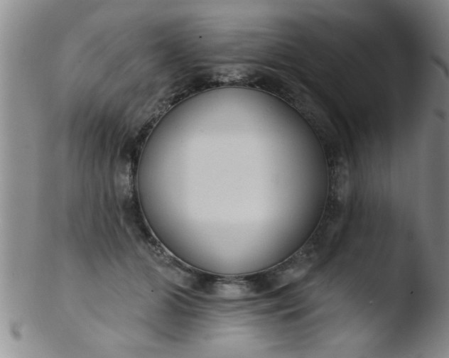 X0000103490510200809261953