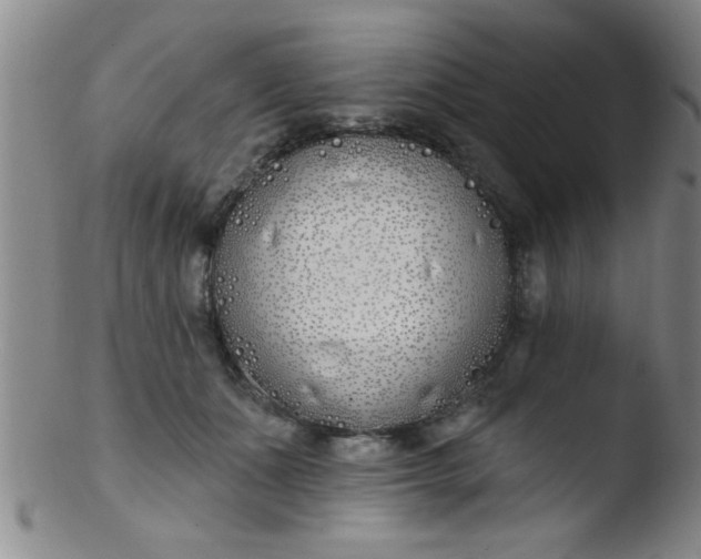 X0000103490511200809261953