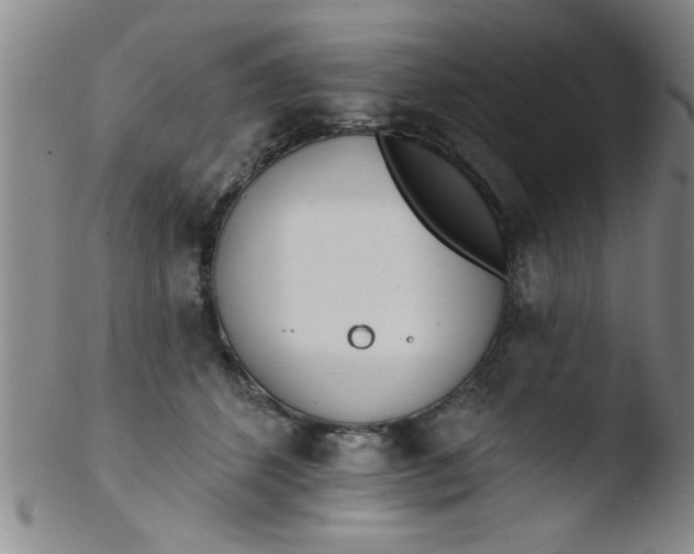 X0000103490512200809261953