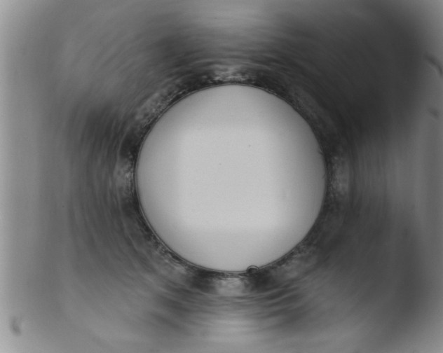 X0000103490513200809261953