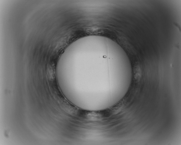 X0000103490515200809261953