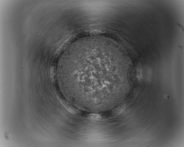 X0000103490519200809261953