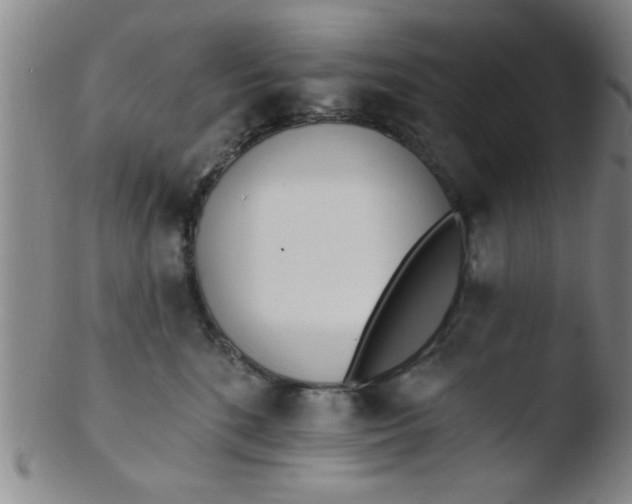 X0000103490520200809261953