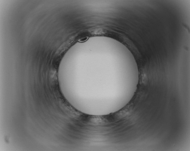 X0000103490521200809261953