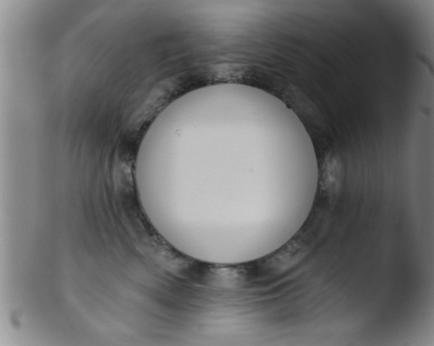 X0000103490522200809261953