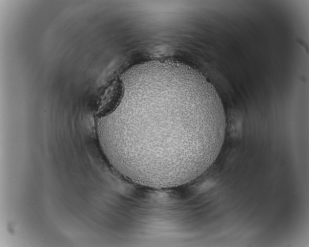 X0000103490523200809261953