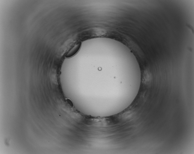 X0000103490524200809261953