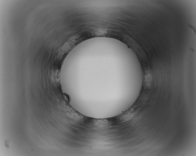 X0000103490525200809261953