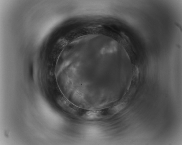 X0000103490526200809261953