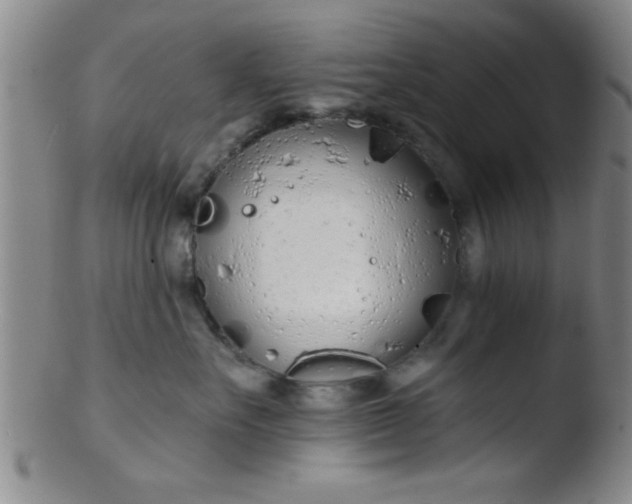 X0000103490527200809261953