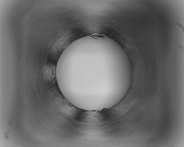 X0000103490528200809261953