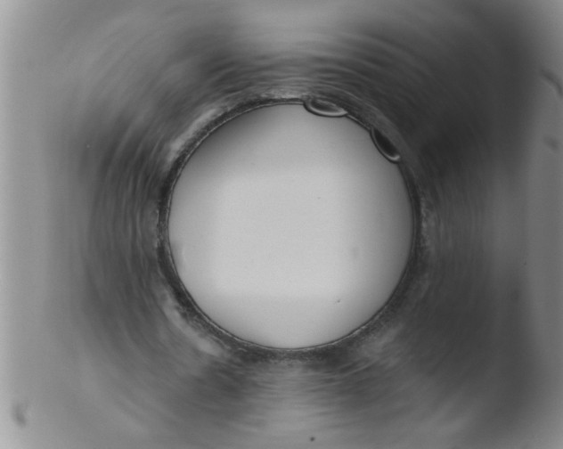 X0000103490530200809261952