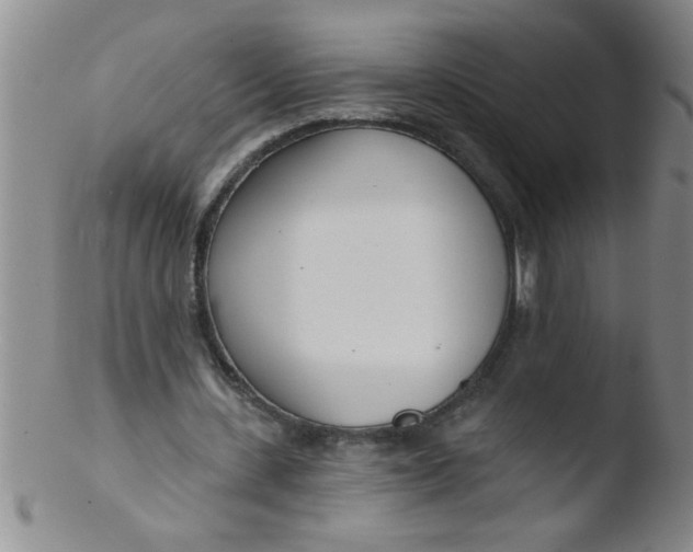 X0000103490531200809261952