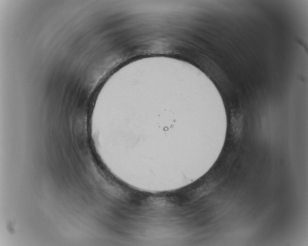 X0000103490534200809261953