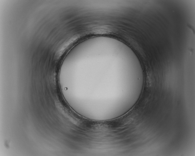 X0000103490535200809261953