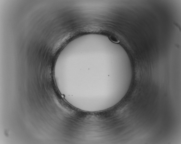 X0000103490538200809261953