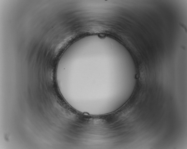 X0000103490539200809261953