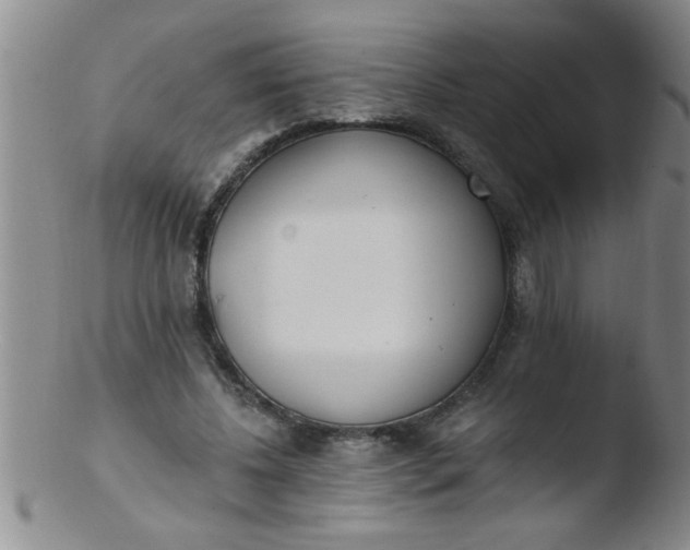 X0000103490540200809261953