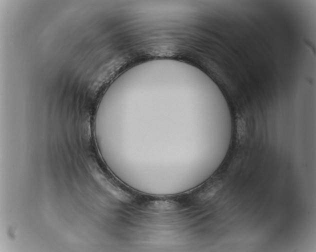 X0000103490541200809261953