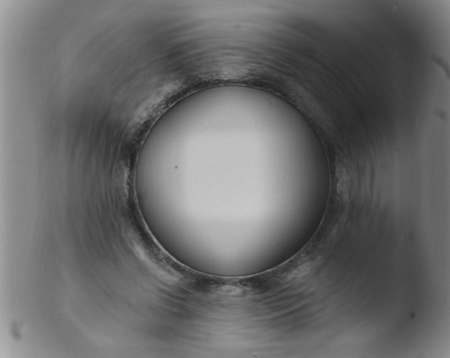 X0000103490542200809261953