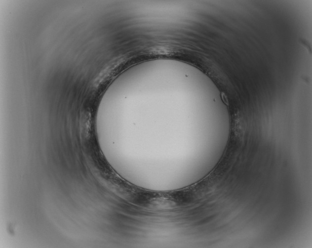 X0000103490544200809261953