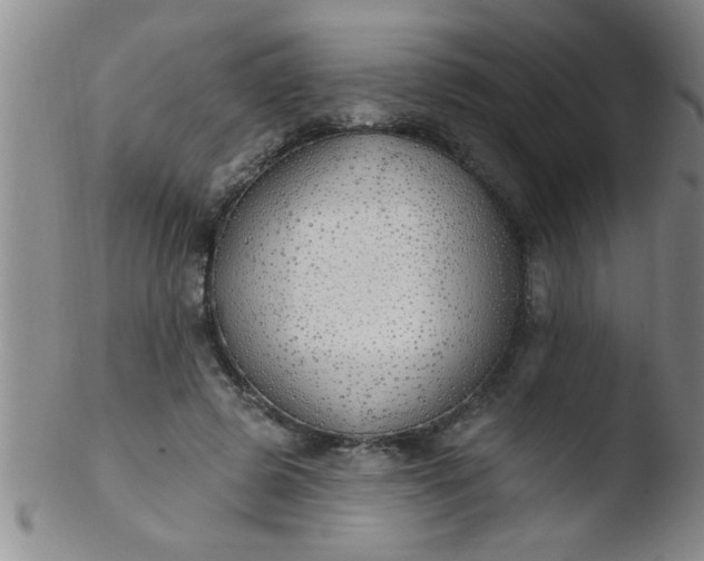 X0000103490545200809261953