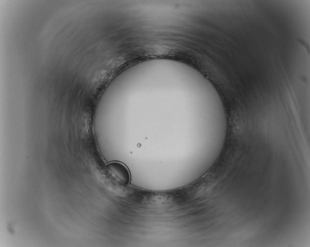 X0000103490546200809261953