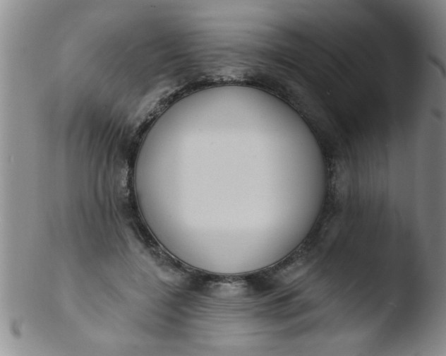 X0000103490548200809261953