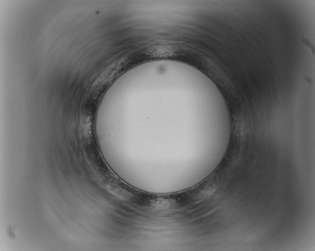 X0000103490549200809261953