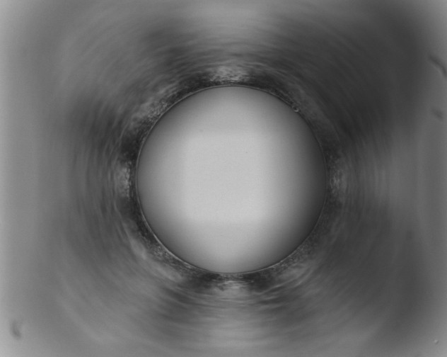 X0000103490551200809261953