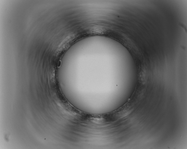 X0000103490552200809261953