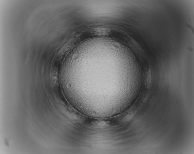 X0000103490553200809261953