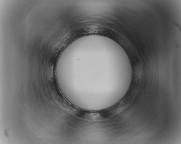 X0000103490554200809261953