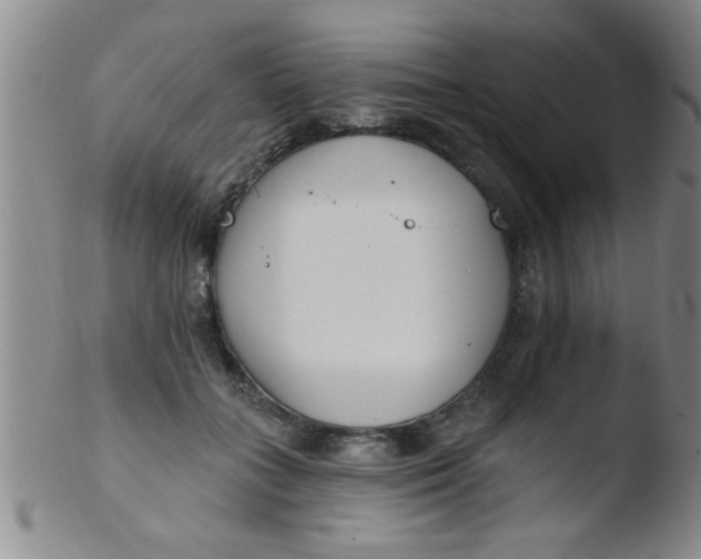 X0000103490555200809261953