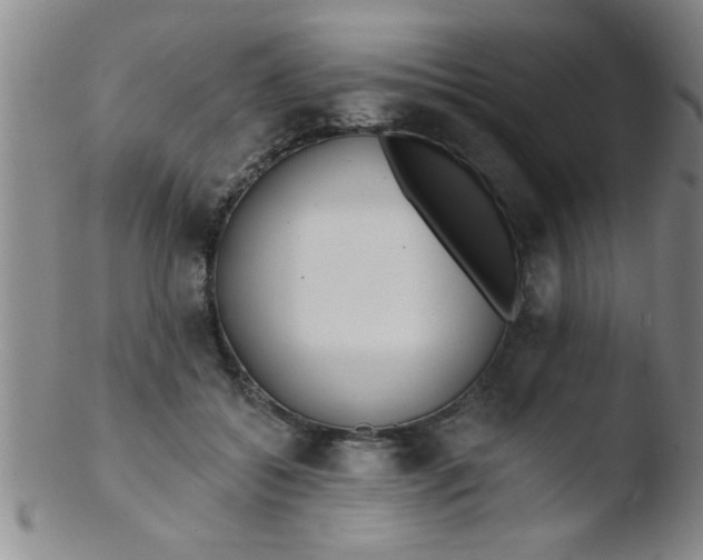 X0000103490556200809261953